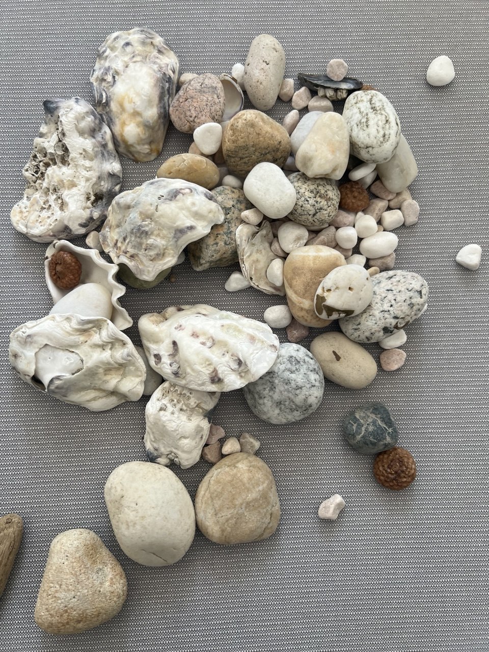 A collection of smooth pebbles and seashells arranged on a gray surface